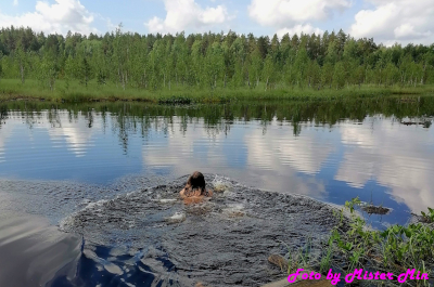 к сплавине
