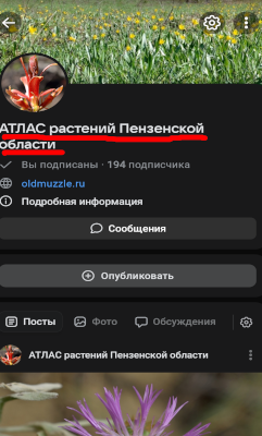 Донат