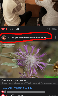 Донат