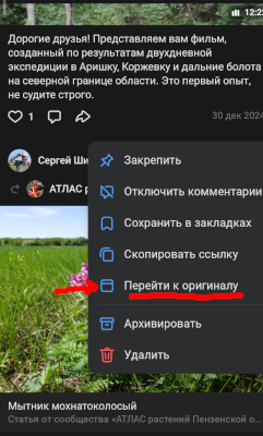 Донат