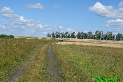 У первого болота