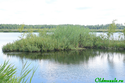 Сплавина - остров