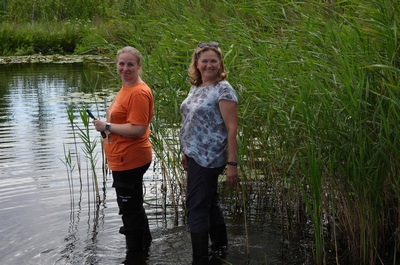 вдоль берега