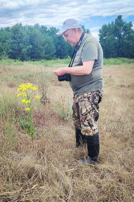 крестовник на берегу