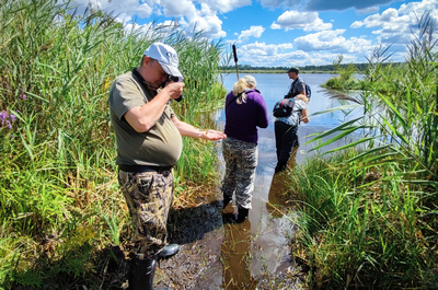 я с рдестом