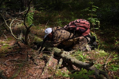 Я и Неоттианта