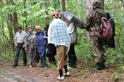 На лесной дороге