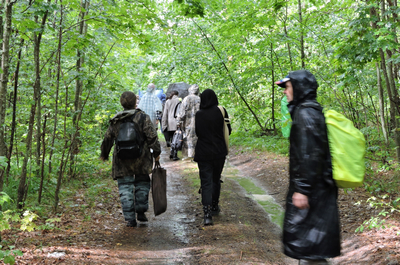 После дождя