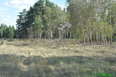 дорога