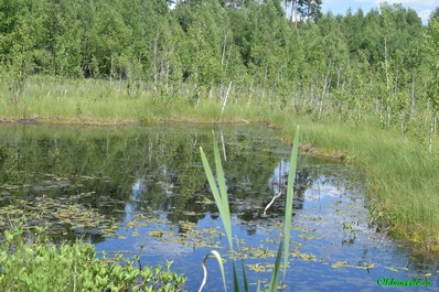 окно