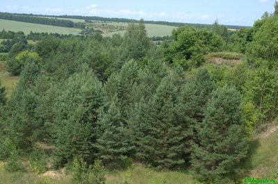 На краю обрыва