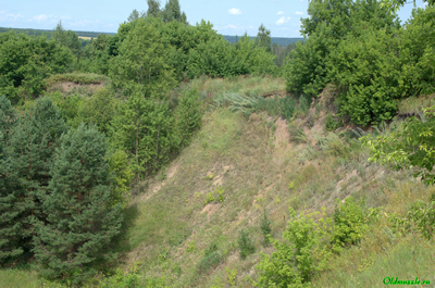 На краю обрыва