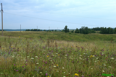 В. Ломов