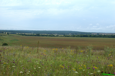 В. Ломов